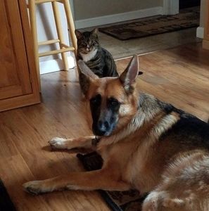 Meet your Posher, Darlene